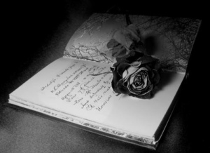 black-rose-and-a-book